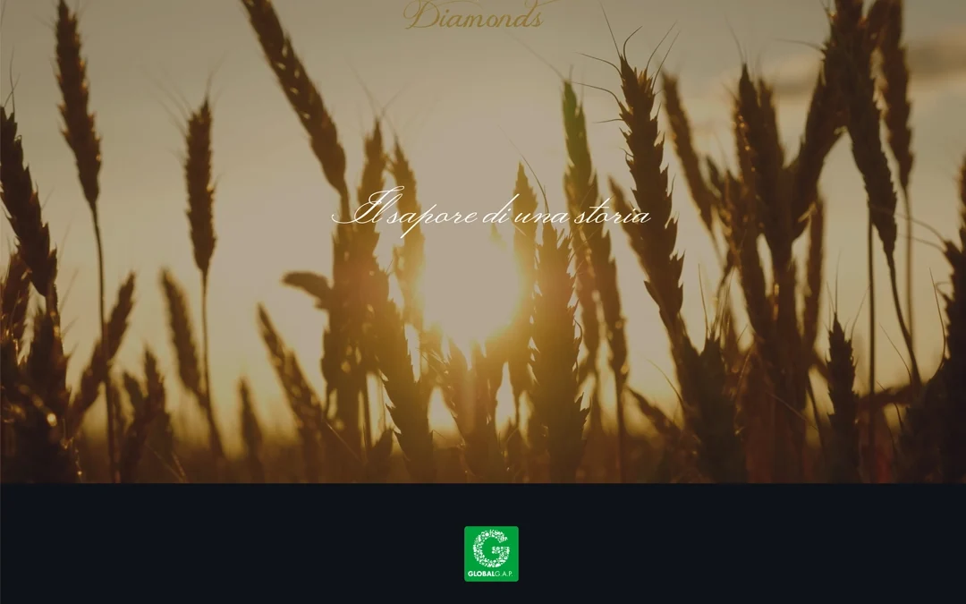 sito Azienda Agricola Santelli