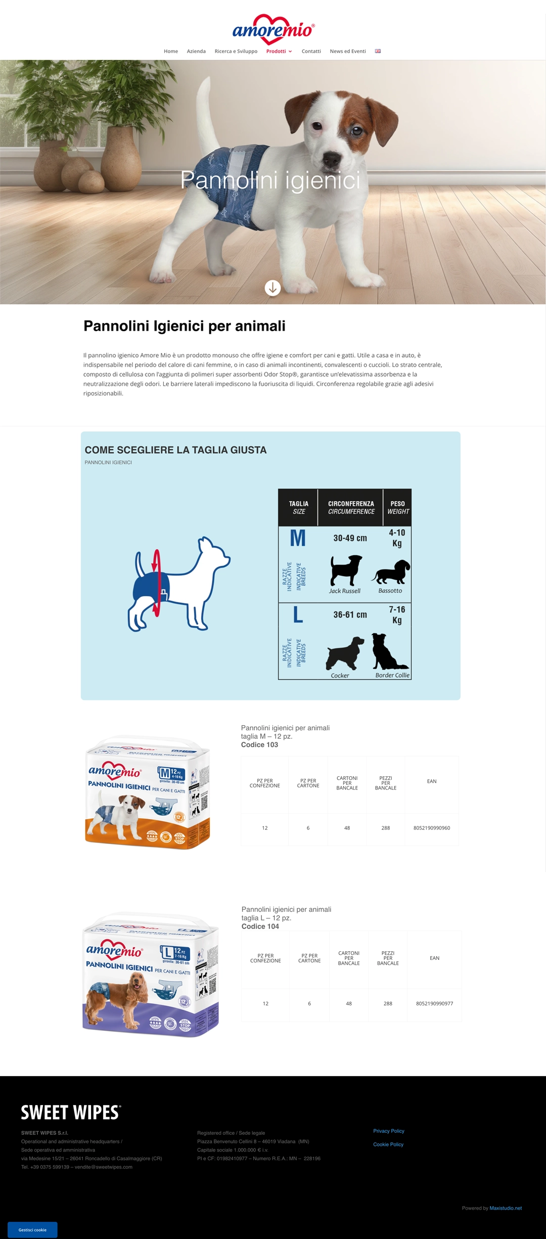 sito AMOREMIO pagina NOVITà sito AMOREMIO pagina NOVITa