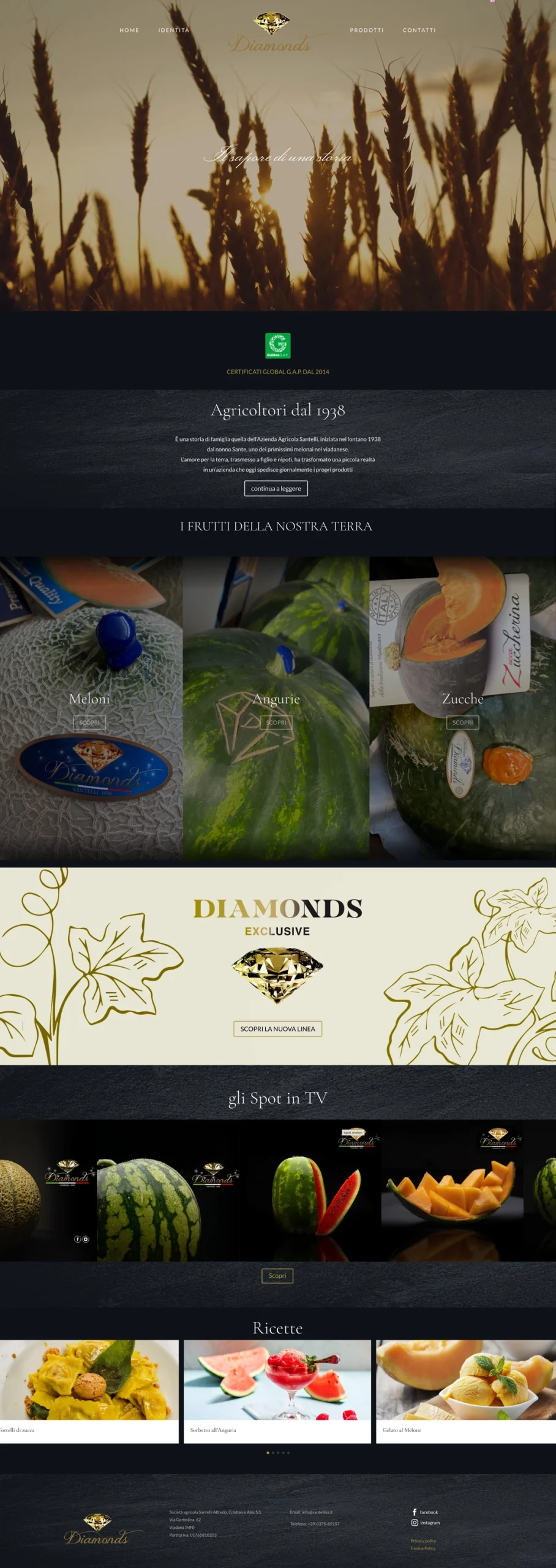 sito santelli HOME PAGE scaled