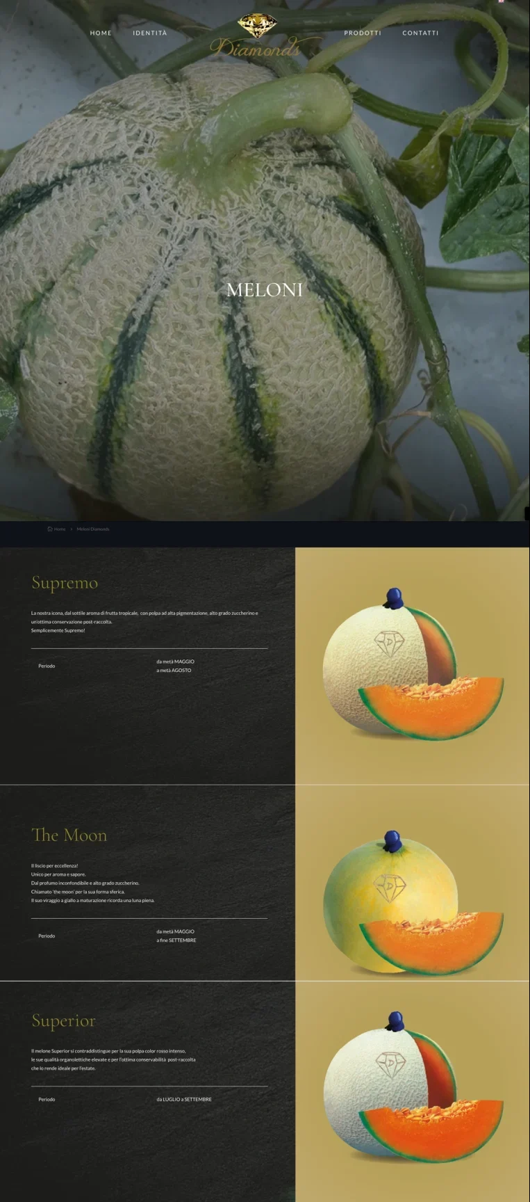 sito santelli pagina lunga scaled e1729691688188